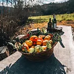 Quinta Da Alqueidosa -