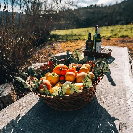 Quinta Da Alqueidosa -