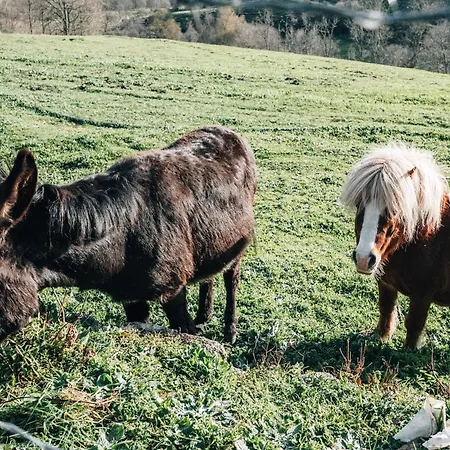 Vakantiehuis Quinta Da Alqueidosa - Guarda