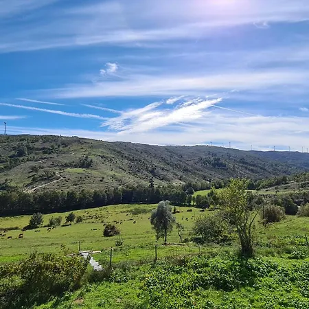Quinta Da Alqueidosa - Guarda