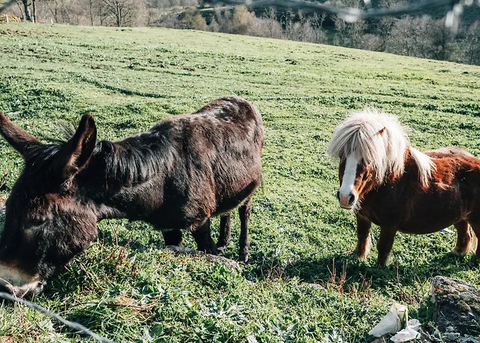 Vakantiehuis Quinta Da Alqueidosa - Guarda