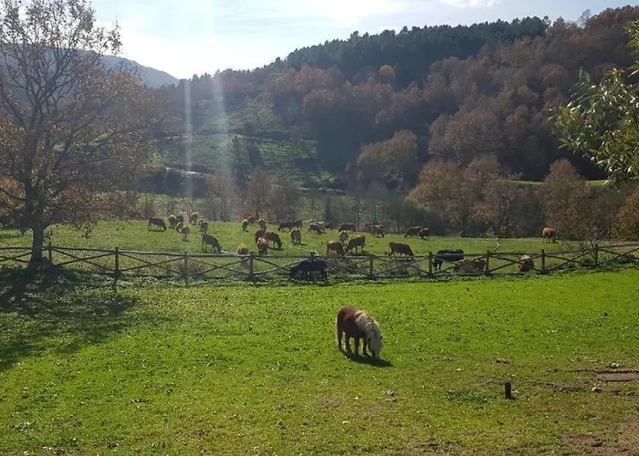 Quinta Da Alqueidosa - Гуарда